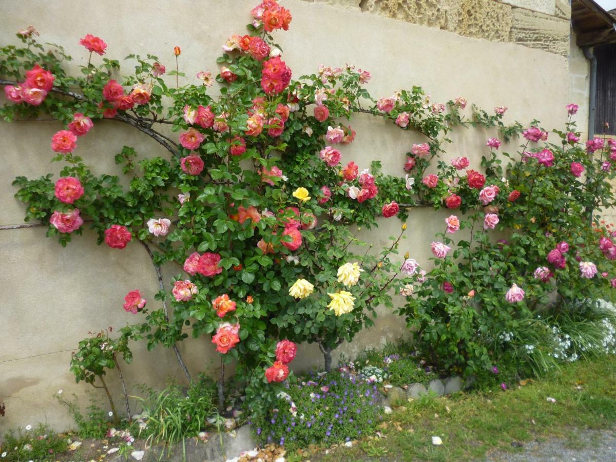 Le Clos Des Rosiers Saint-Émilion Exteriér fotografie
